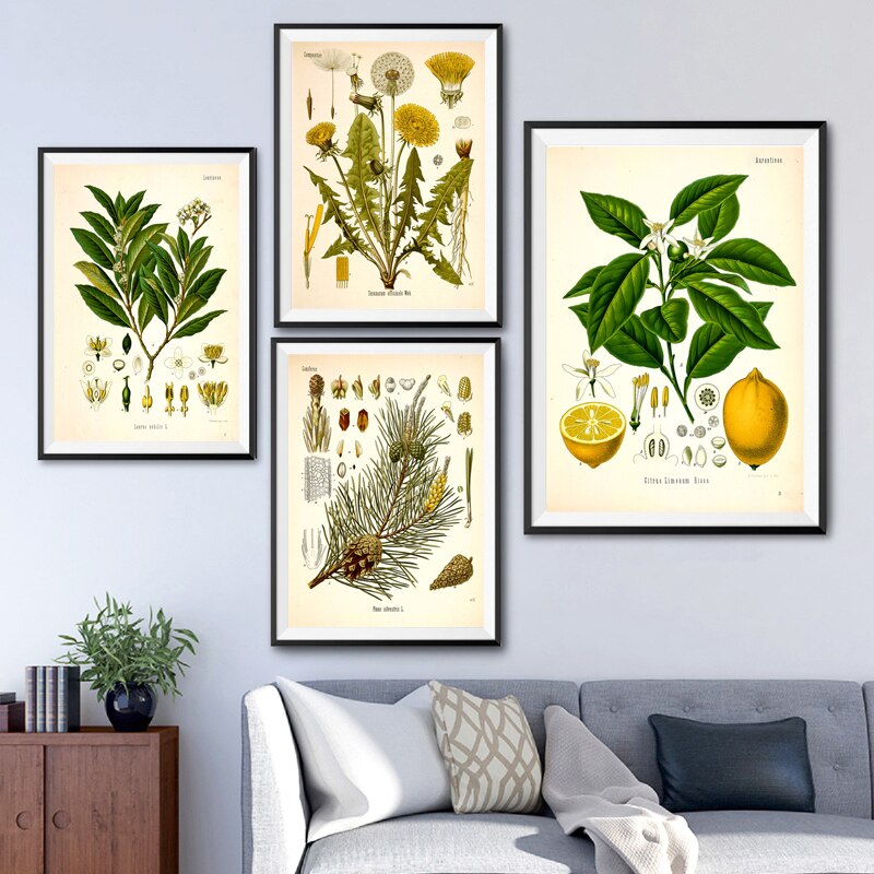 קולקציית הדהליה – הדפסים בוטניים וינטג' על קנבס