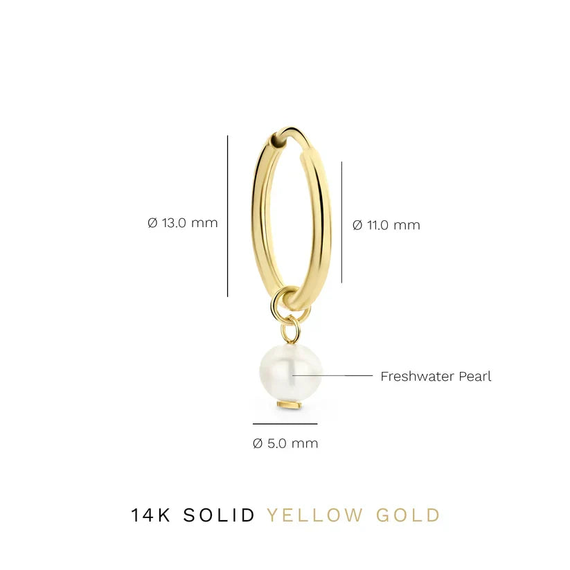 Aretes Cresta Delia | Oro